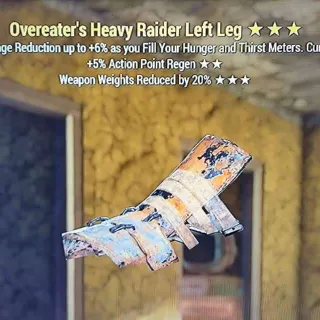 ⭐⭐⭐Overeaters AP WWR Heavy Raider LL