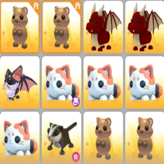 Adopt me Pet Bundle 12x Sugar Glider