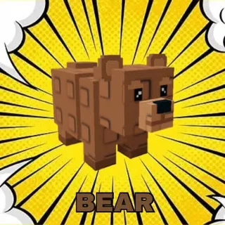 Bear