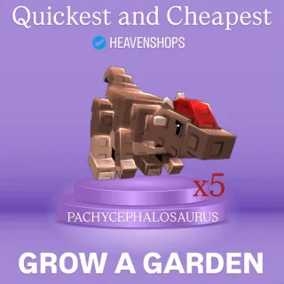 x5  Patchycephalosaurus