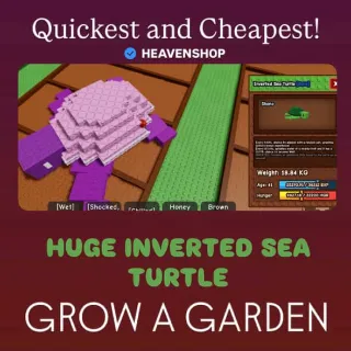 Inverted Huge Sea Turtle