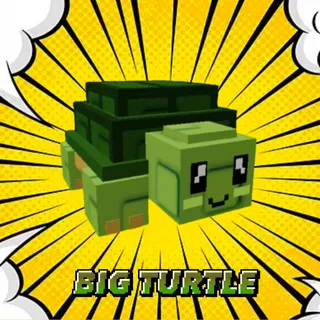 Big Turtle