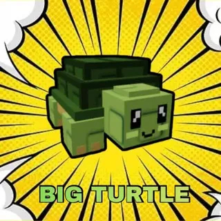 Big Turtle