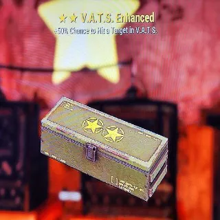 V.A.T.S Enhanced x5