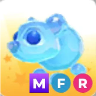 MFR frostbite bear