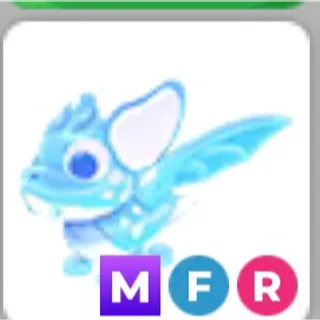 MFR Arctic Dusk Dragon