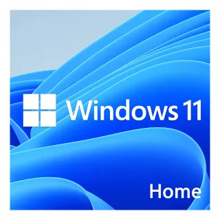 WINDOWS 10 HOME    