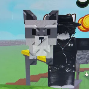 Raccoon