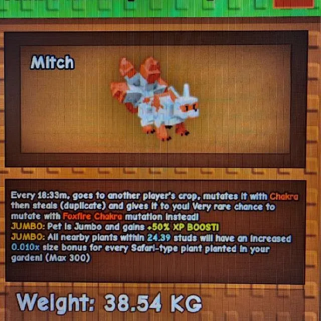 รายการภาพถ่าย