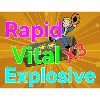 Bundle ⭐⭐ Vital Rapid Explosive