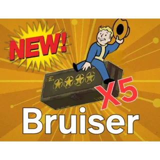 Bruiser x5 ⭐⭐⭐⭐