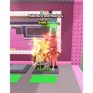 488M 3 trait Ketchuru and Musturu