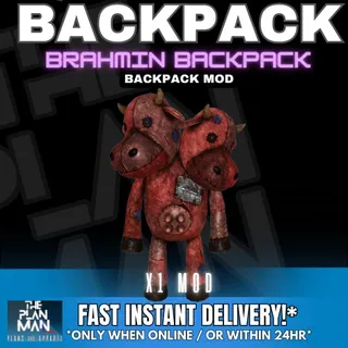 Brahmin Backpack