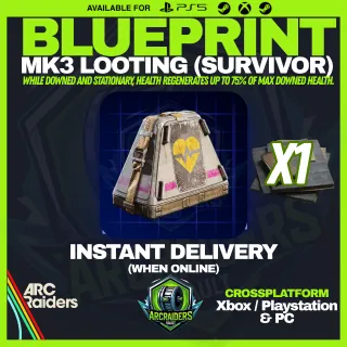 MK3 Looting (Survivor) BP