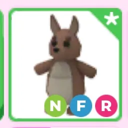 nfr kangaroo