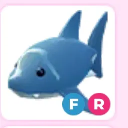 fr shark