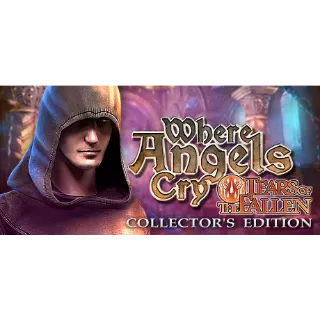 Where Angels Cry: Tears of the Fallen (Collector's Edition) (Steam/Global Instant Delivery)