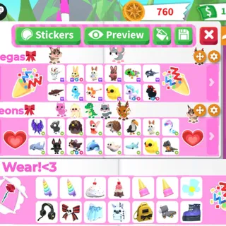 Pet & Petwear Bundle