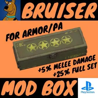 Bruiser Mod