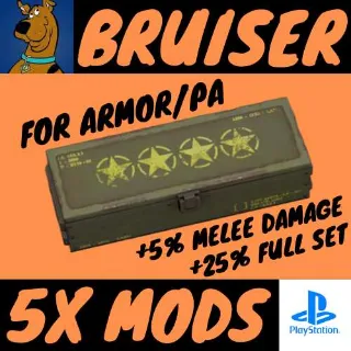 Bruiser Mod