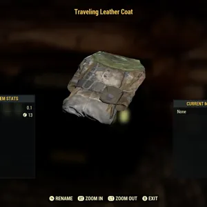 Traveling Leather Coat