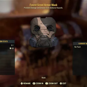 FSA Mask