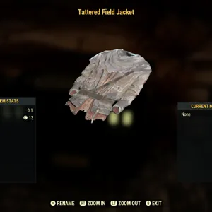 Tattered Field Jacket