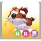NR munchkin cat