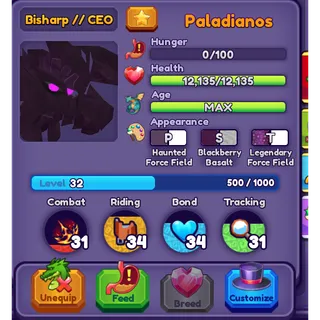 2023  Dragon Adventures