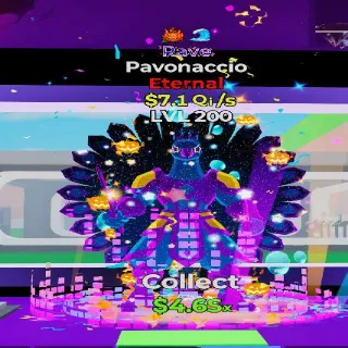 Pavonaccio Rave 2 Traits