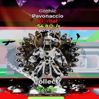 Pavonaccio Gothic