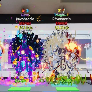 Pavonaccio Bundle