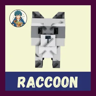 Raccoon