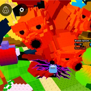 6.2KG SCORCHED BRUSSEL