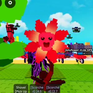 3KG RUBY JOLLYFLOWER