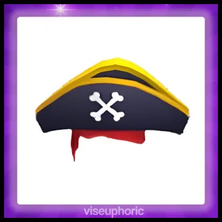 Pirate Hat