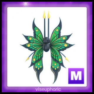 Mega 2025 Birthday Butterfly