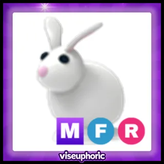 MFR Rabbit 