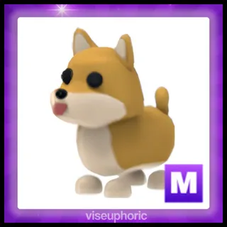 Mega Shiba Inu