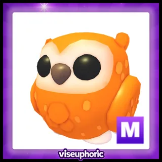 Mega Clementine Owl