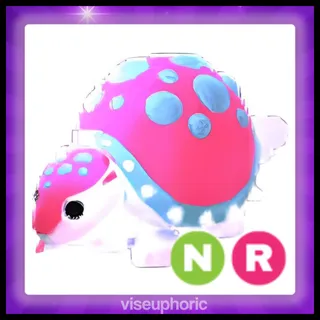 NR Glyptodon