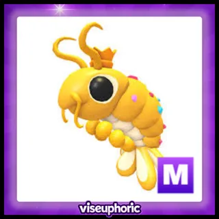 Mega Priceless Shrimp