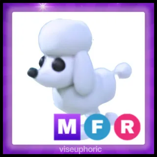 MFR Poodle