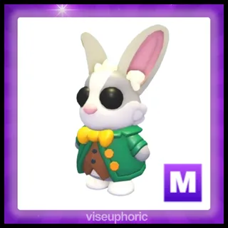 Mega Mr. Whiskerpips