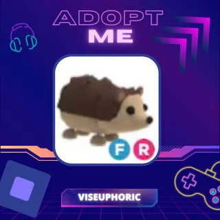 Pet | FR Hedgehog