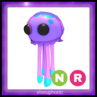 NR Dimension Drifter