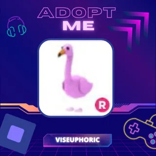 Pet | R Flamingo