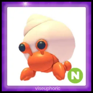 Neon Hermit Crab