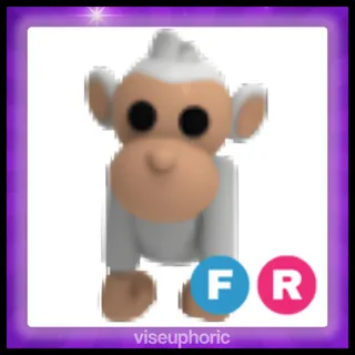 FR Albino Monkey
