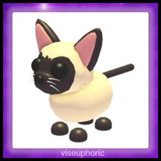 Siamese Cat
